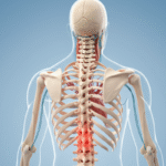 Understanding Back Pain: Causes and Prevention for Better Health
